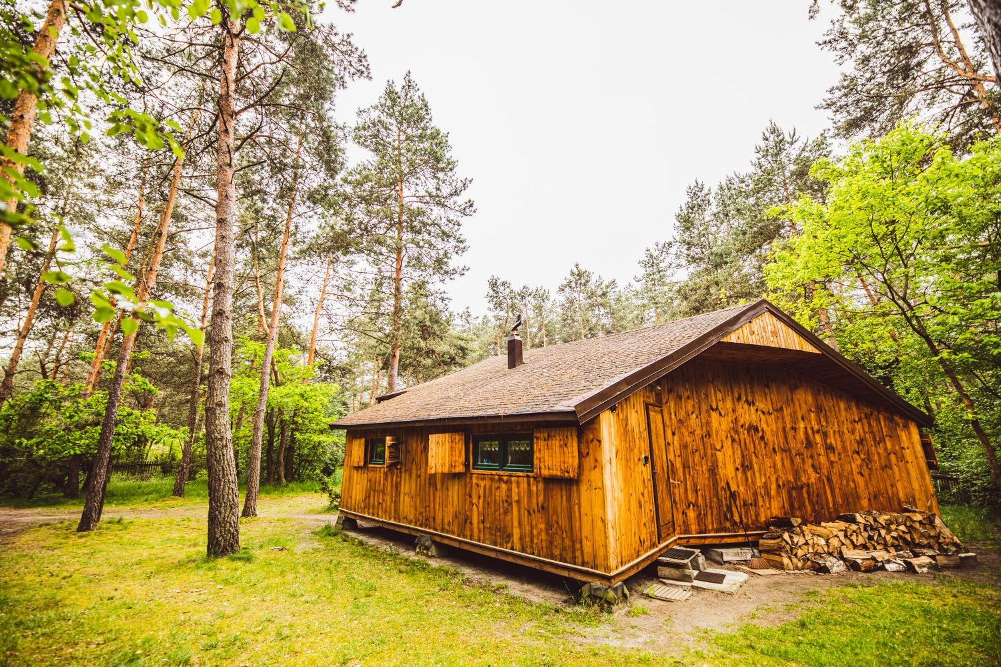 Cozy Nature Retreat With Patio Fireplace Garden Maciejowice 외부 사진