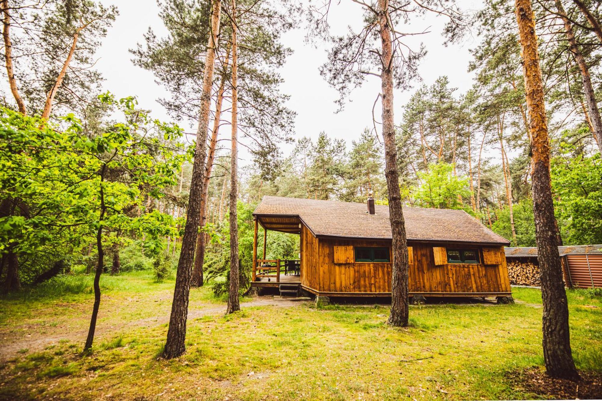 Cozy Nature Retreat With Patio Fireplace Garden Maciejowice 외부 사진
