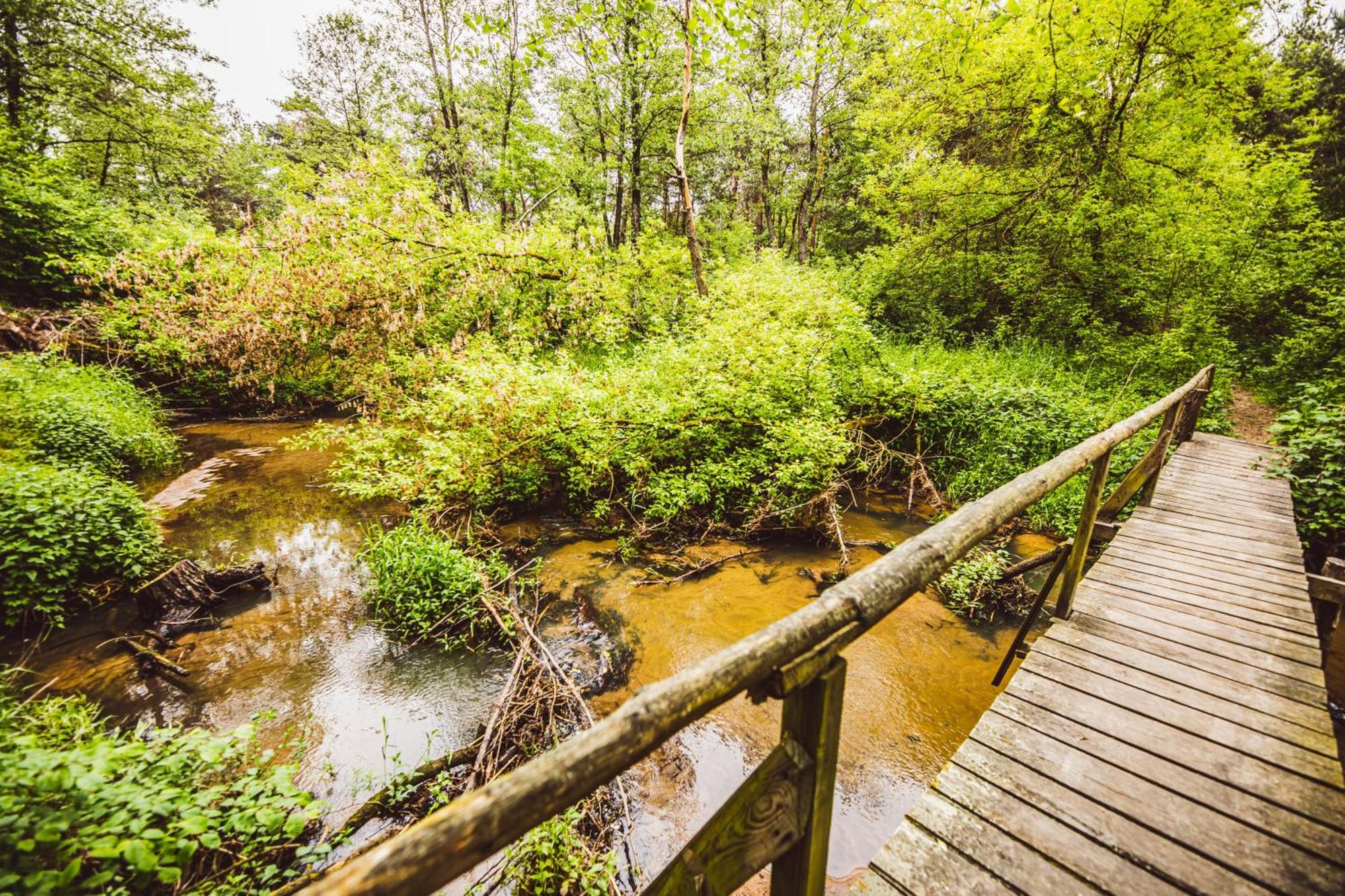 Cozy Nature Retreat With Patio Fireplace Garden Maciejowice 외부 사진