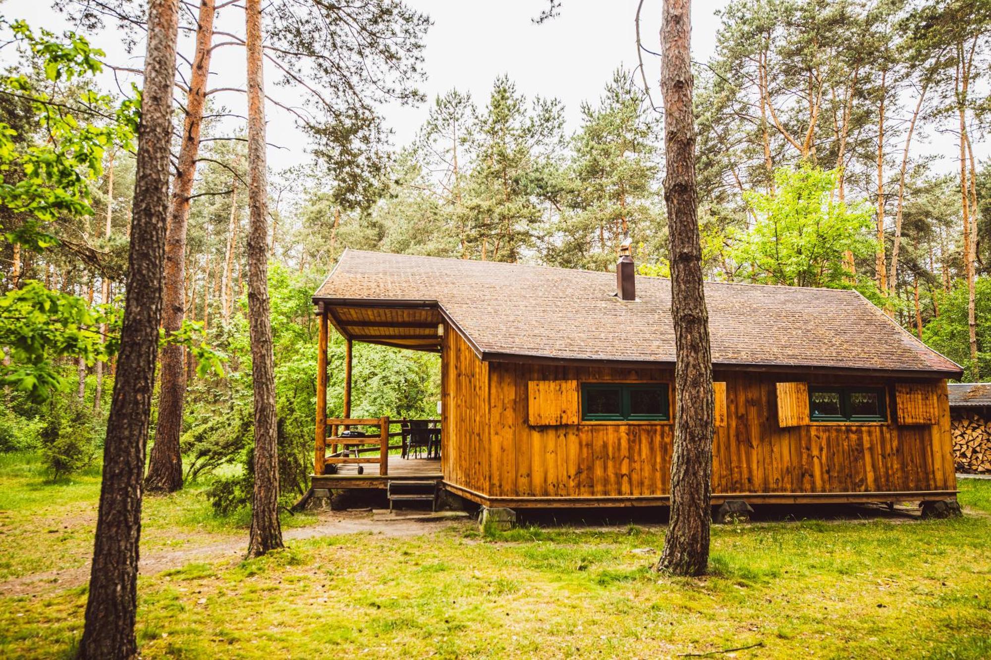 Cozy Nature Retreat With Patio Fireplace Garden Maciejowice 외부 사진
