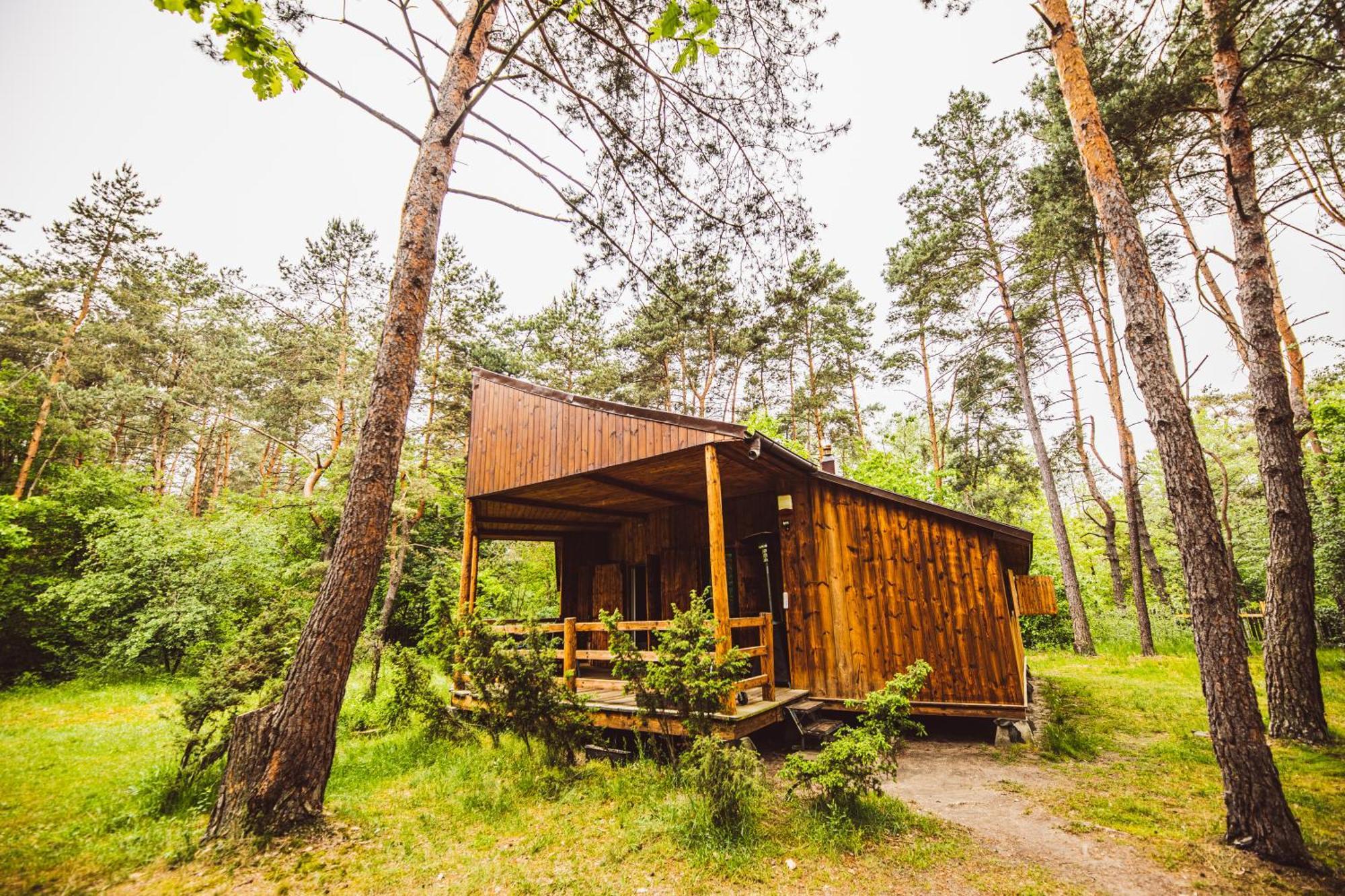 Cozy Nature Retreat With Patio Fireplace Garden Maciejowice 외부 사진