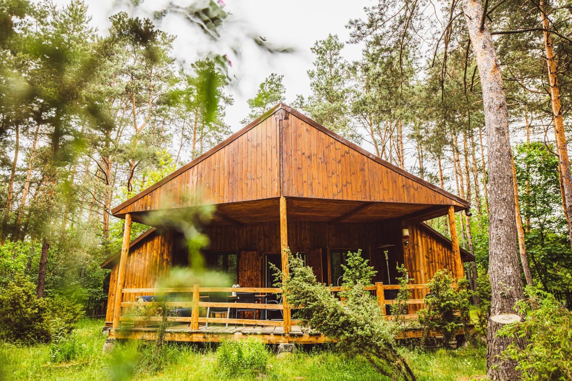 Cozy Nature Retreat With Patio Fireplace Garden Maciejowice 외부 사진