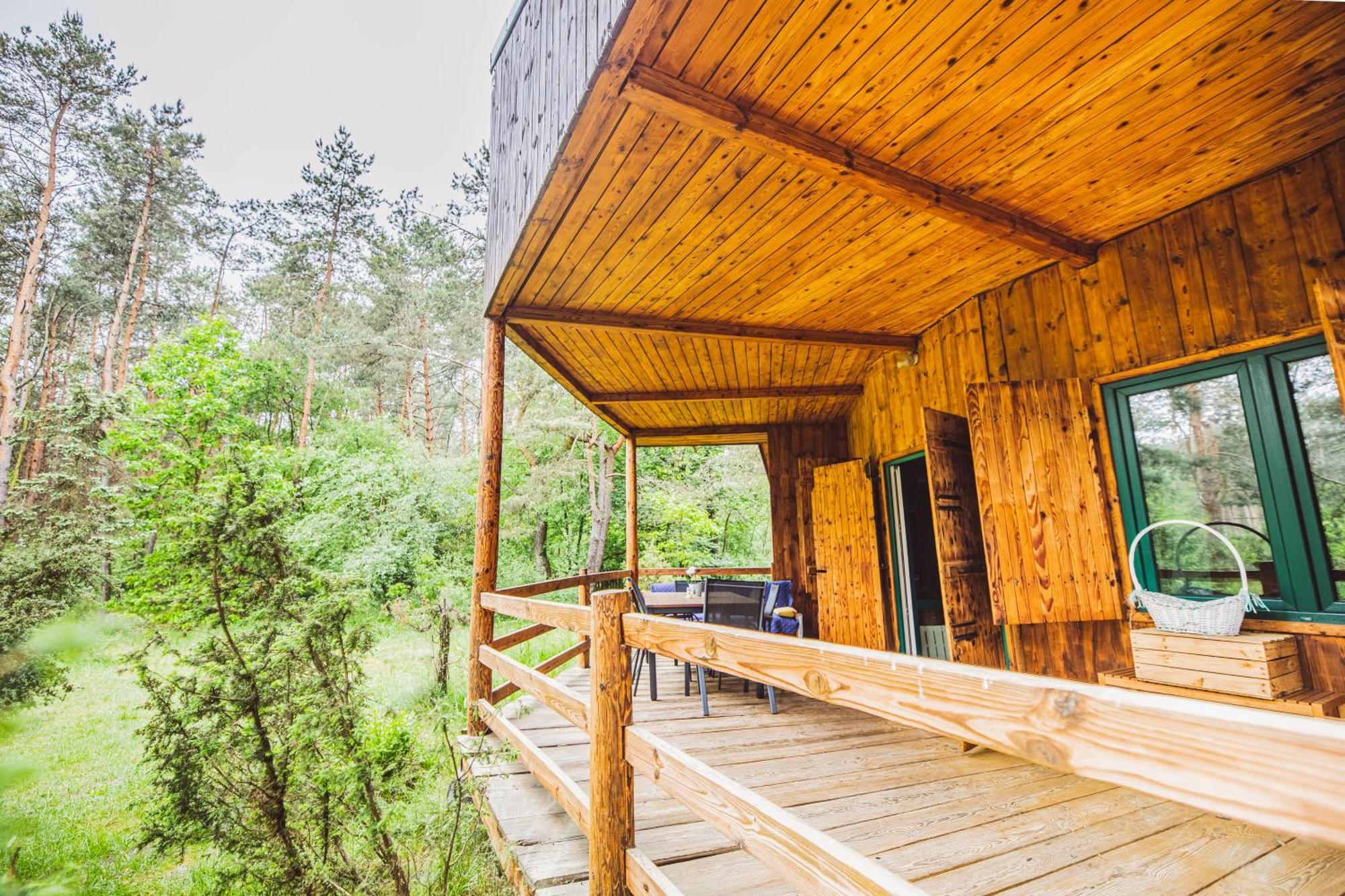Cozy Nature Retreat With Patio Fireplace Garden Maciejowice 외부 사진