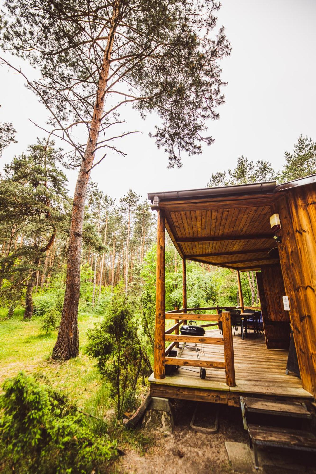 Cozy Nature Retreat With Patio Fireplace Garden Maciejowice 외부 사진